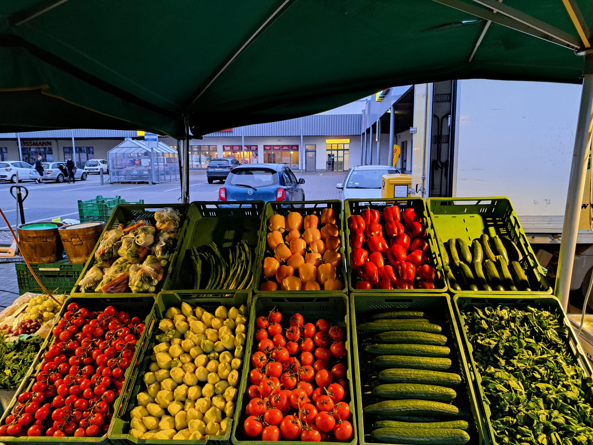 Auswahl saisonales Gemüse am Fischer Gemüse Marktstand in Erfurt am MoskauerPlatz