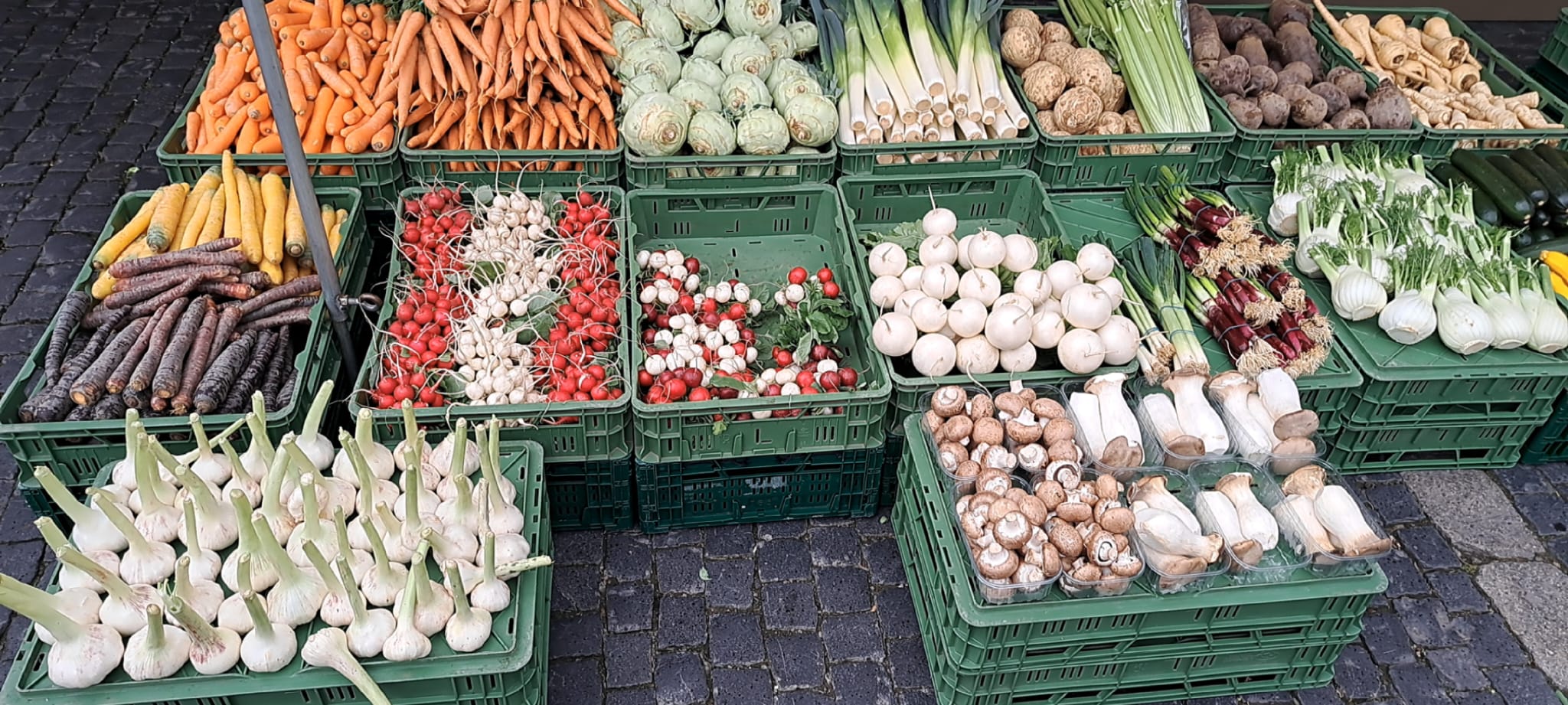 Auswahl saisonales Gemüse am Fischer Gemüse Marktstand in Weimar