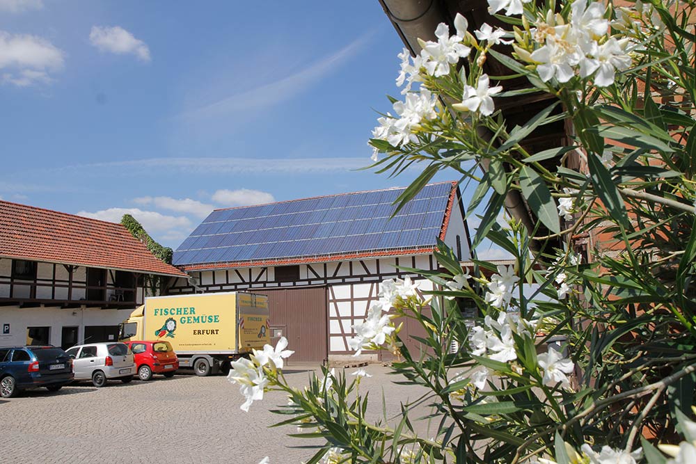 Fischer Gemüse Erfurt – der Hof am Hofladen in Dittelstedt Fischer Gemüse Erfurt – der Hof am Hofladen in Dittelstedt