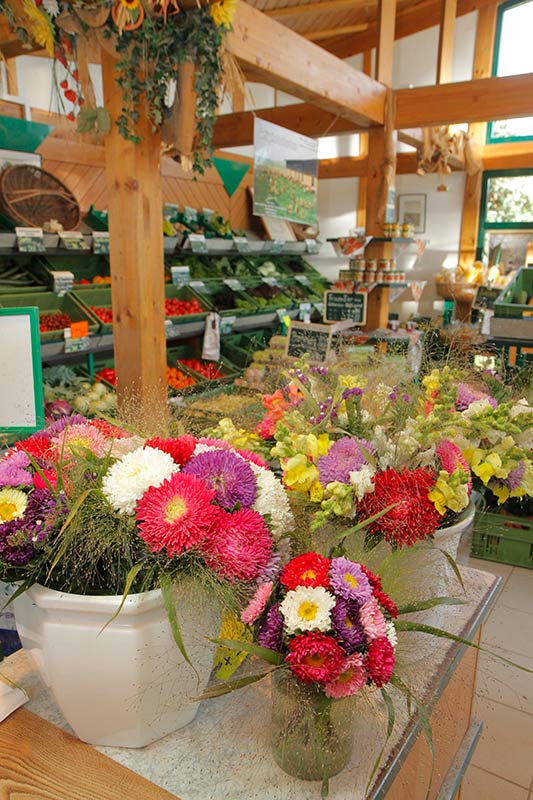 Fischer Gemüse Erfurt – reichhaltiges Angebot im Hofladen und Schnittblumen Fischer Gemüse Erfurt – reichhaltiges Angebot im Hofladen und Schnittblumen