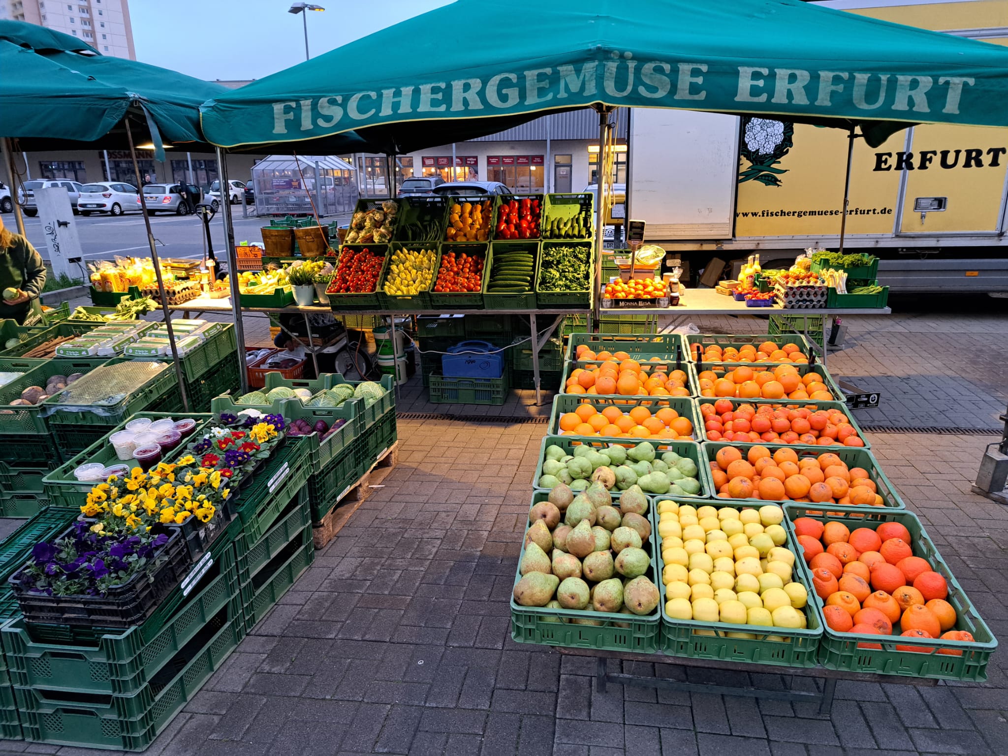 Auswahl saisonales Gemüse am Fischer Gemüse Marktstand in Erfurt am MoskauerPlatz Auswahl saisonales Gemüse am Fischer Gemüse Marktstand in Erfurt am MoskauerPlatz