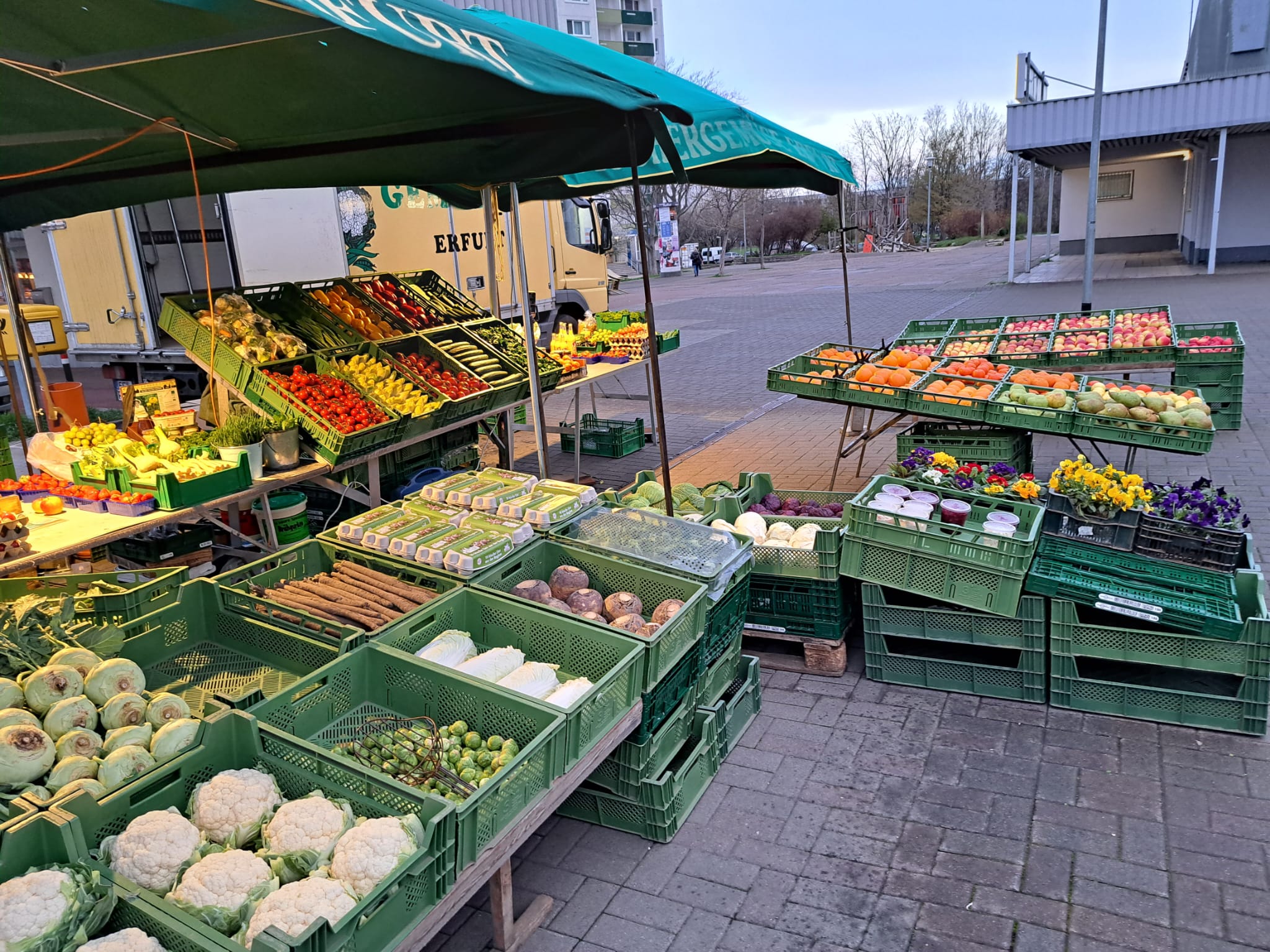 Auswahl saisonales Gemüse am Fischer Gemüse Marktstand in Erfurt am MoskauerPlatz Auswahl saisonales Gemüse am Fischer Gemüse Marktstand in Erfurt am MoskauerPlatz