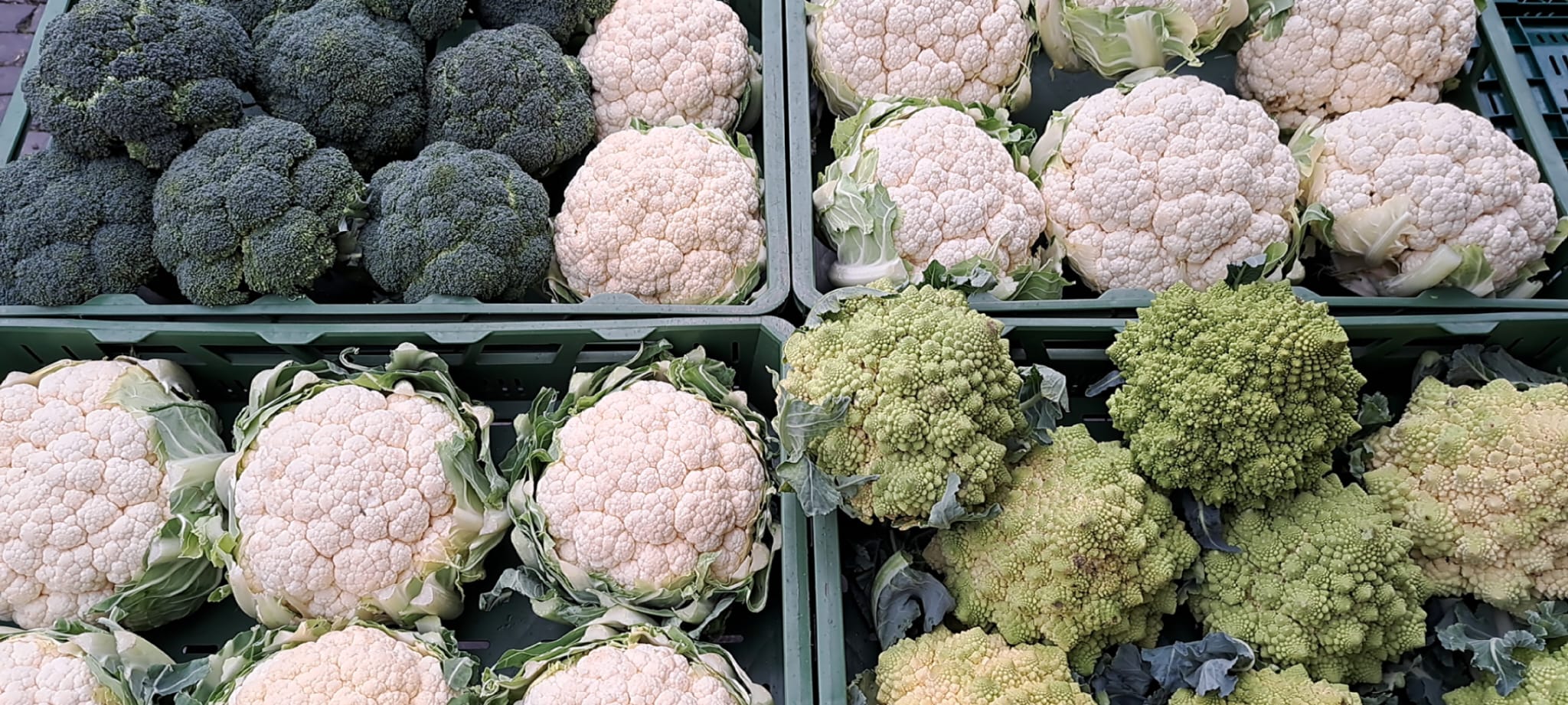 Fischers Blumenkohl am Fischer Gemüse Marktstand in Weimar Fischers Blumenkohl am Fischer Gemüse Marktstand in Weimar