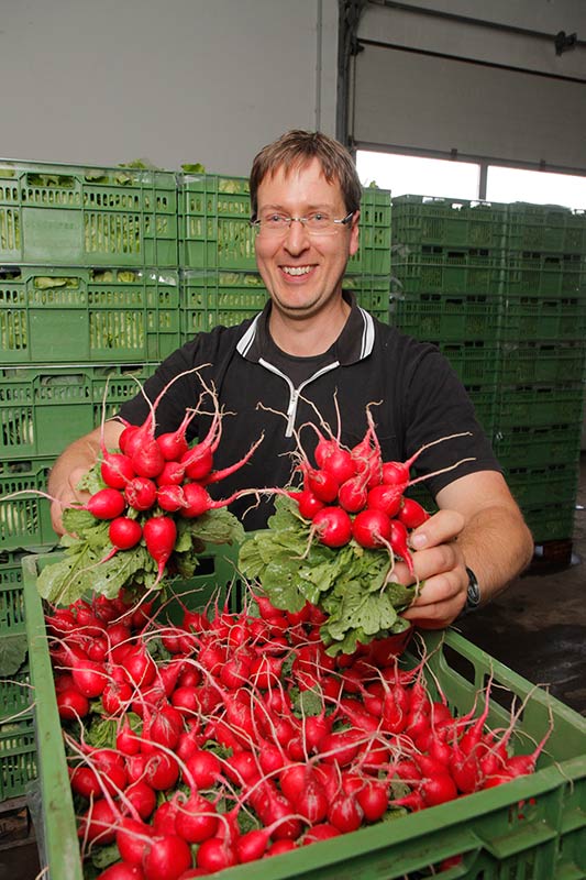 Fischer Gemüse Erfurt – Lars Fischer glücklich mit frischer Radieschenernte